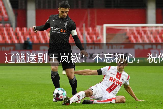 辽篮送别王岚嵚：不忘初心，祝你前程似锦